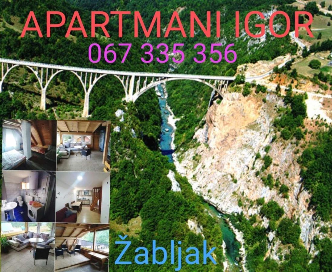 Apartments Igor 자블야크 외부 사진