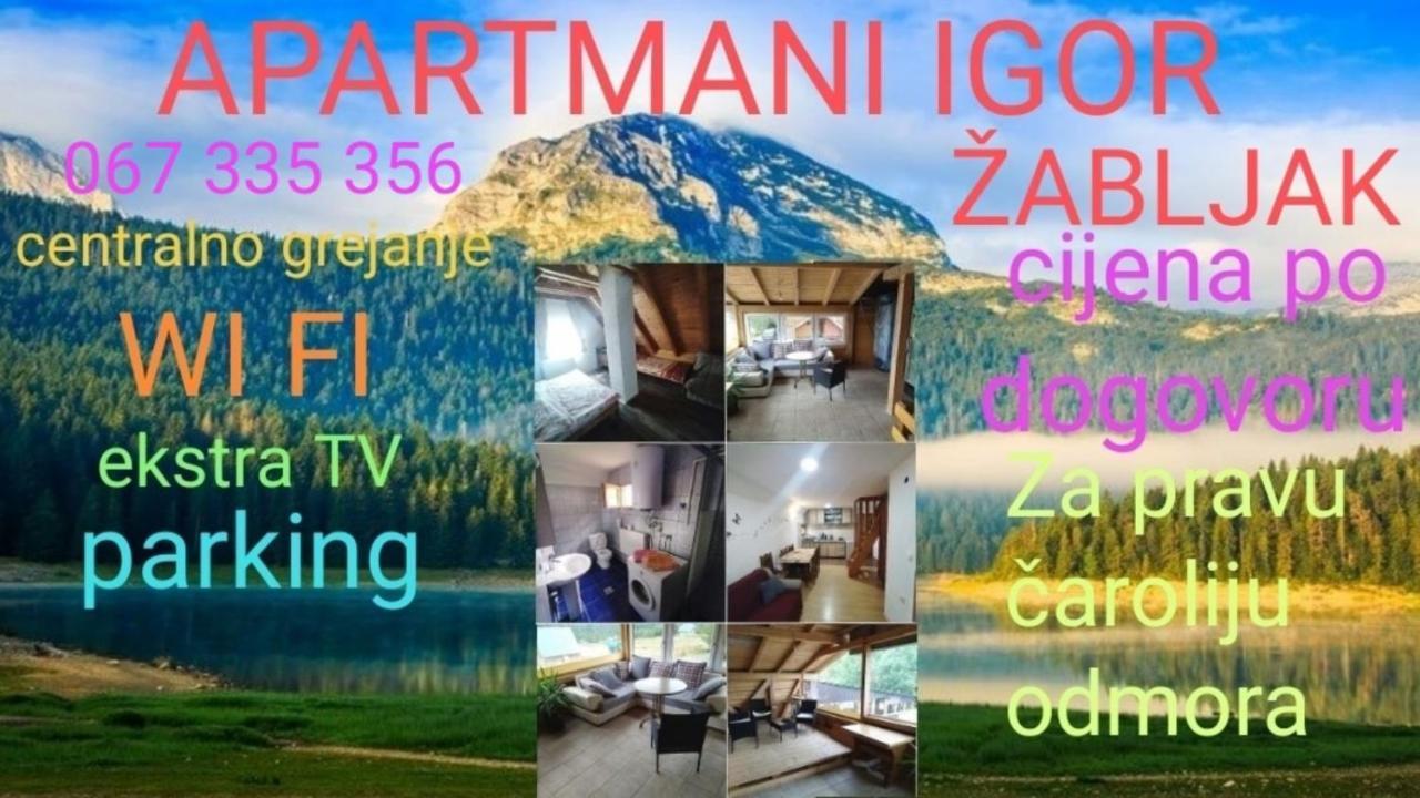 Apartments Igor 자블야크 외부 사진